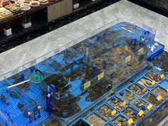 -东舜赶海·胶东海鲜家常菜(奥体中心店)