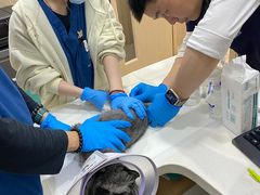 -申普宠物医院·眼科·心内科·影像科(普陀分院)