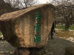 -香雪海