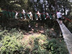 -衢州大荫山丛林飞越探险乐园