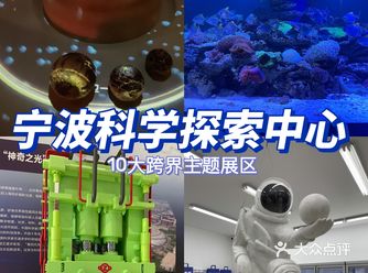 宁波探展|国庆溜娃好去处
