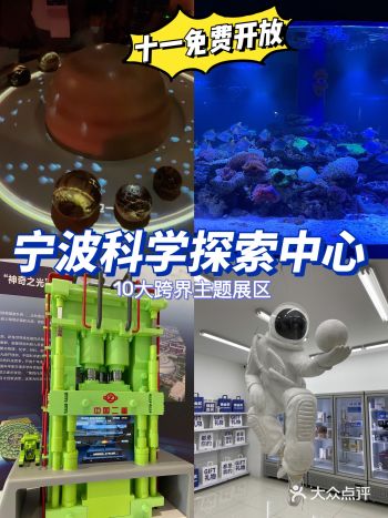 宁波探展｜国庆溜娃好去处