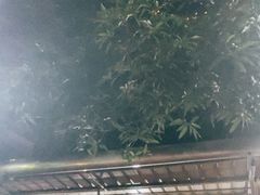 -老财炒饭·熟地蟹·冬瓜蟹