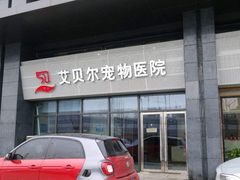 -艾贝尔宠物医院·24H转诊中心·肿瘤猫专科(江宁双龙店)