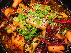 -熊猫川菜馆 panda chine