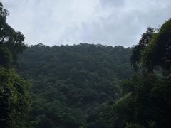 -鼎湖山风景区