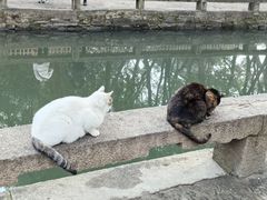 -西园寺