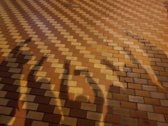 -八婆婆烧仙草(中山路店)