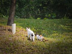 -火炉山森林公园