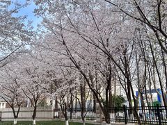 -南京明基医院