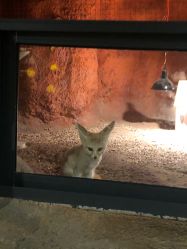 -酷嗒动物文化乐园(cutezoo西溪乐天城店)