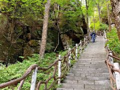 -汤旺河林海奇石景区