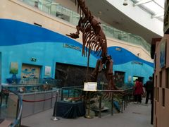 -陕西自然博物馆