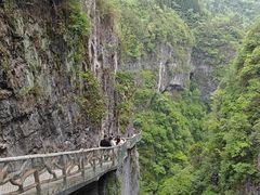 -鹿院坪生态旅游景区