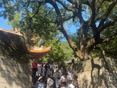 -普陀山风景名胜区-法雨禅寺