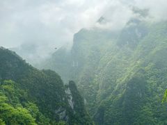 -武陵山森林公园