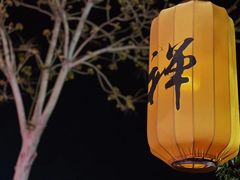 -禅宗少林·音乐大典