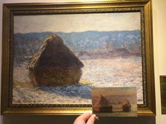 -印象莫奈时光映迹艺术展