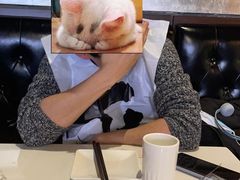 -丁卯•铜锅涮肉(工体店)