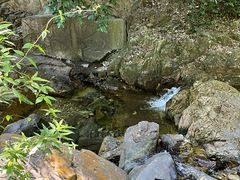 -鼎湖山风景区
