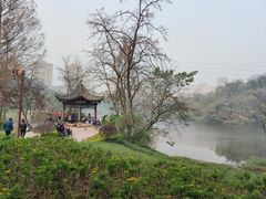 -重庆彩云湖湿地公园