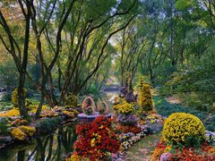 -上海共青森林公园