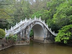 -深圳仙湖植物园