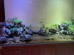 -杭州香格里拉饭店