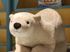 -烟台海昌鲸鲨海洋公园