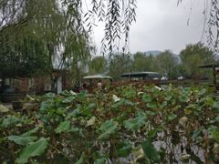 -杭州六谷生态休闲农庄有限公司