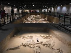 -洛阳周王城天子驾六博物馆