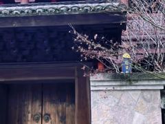-灵顺寺