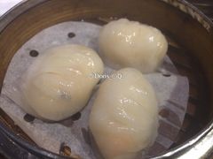 -糖朝(尖沙咀店)