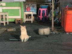 -兰坡海鲜市场
