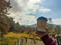 -塔川景区