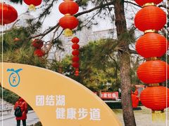 -团结湖公园