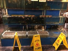 水产区-小俩口烧烤东北菜(双井店)