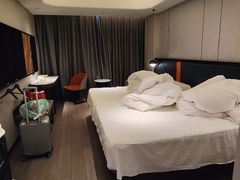 -和颐至尚酒店(上海陆家嘴浦电路地铁站店)