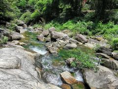 -广州白江湖森林公园