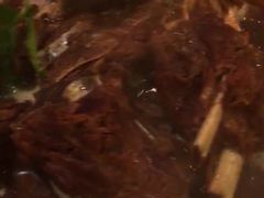 -芦月轩羊蝎子(太平桥店)