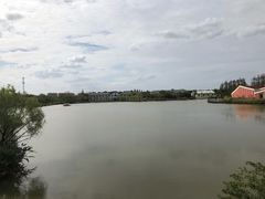 -上海长兴岛郊野公园