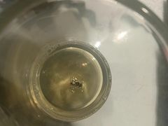 -镜泊小镇(东长安街店)