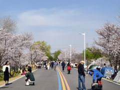 -羊山湖公园