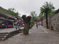 -雁门关景区