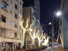 -鞍山新村(地铁站)