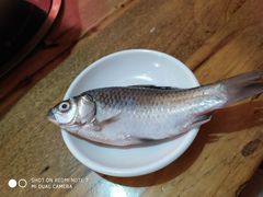 -袁记串串香(北国店)