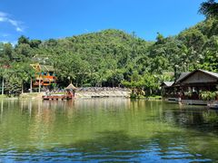 -西双版纳原始森林公园