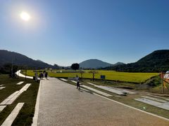 -风云岭森林公园