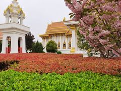 -洛阳白马寺