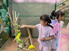 -杭州开元森泊度假乐园